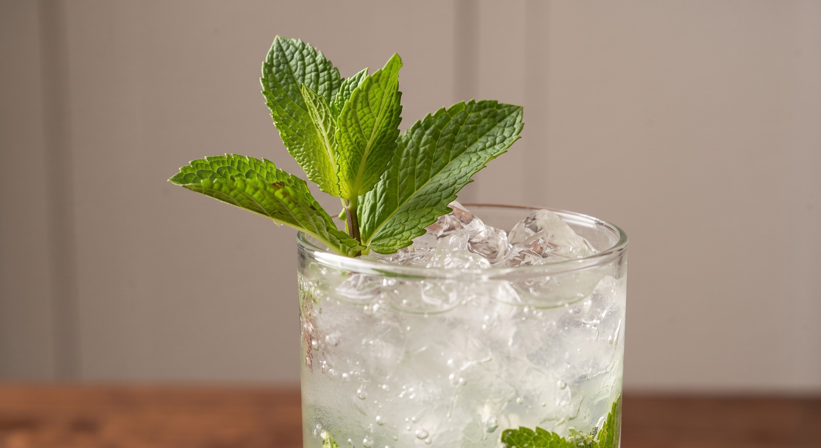 Garnish for the Classic Mojito