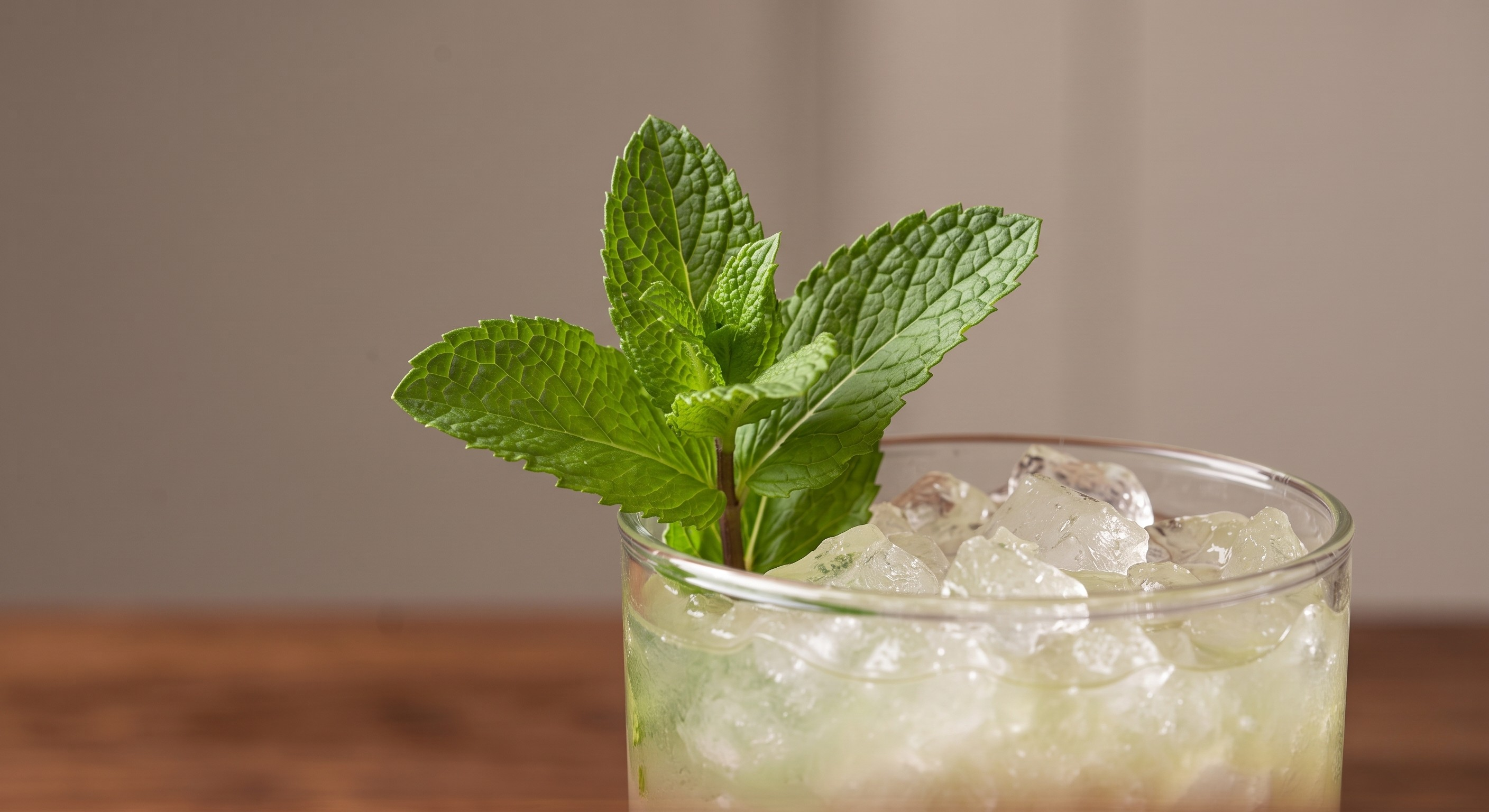 Garnish for the Rum Smash